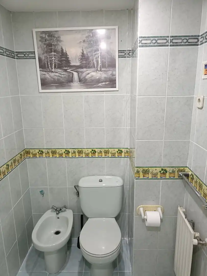 Flat with lift for sale in Calle HONORIO LOZANO, imagen 16