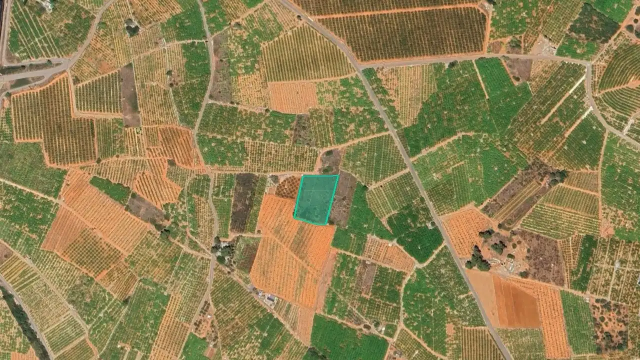Rural land for sale in Partida Bobalar Pilares