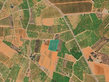 Terreno rústico en venta en Partida Bobalar Pilares