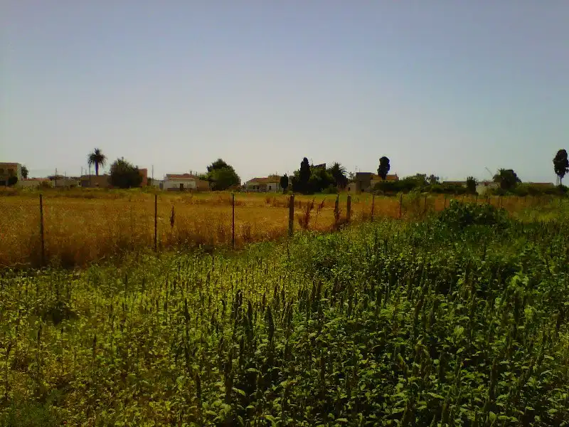Wohnbaugrundstück zum Verkauf in Ramon Llull, imagen 6