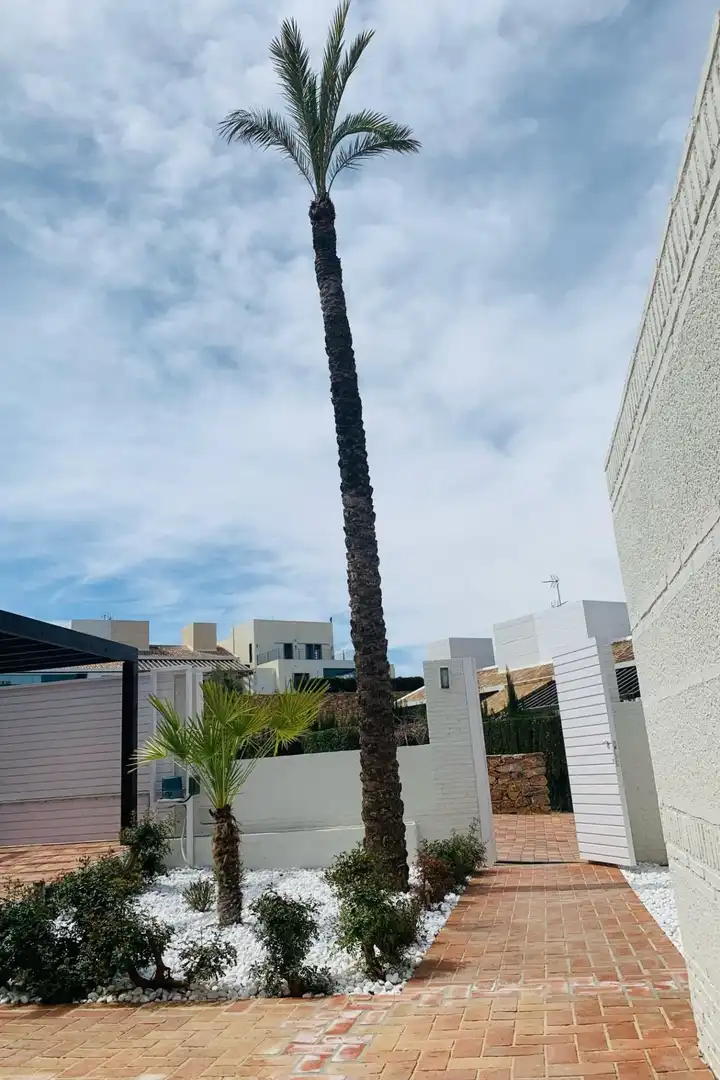 Reihenhaus zum Verkauf in Campo de Murcia, imagen 2