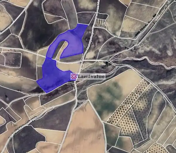 Terreno rustico in vendita a PARAJE SOTILLO DE PALOMERO. Parcelas 40 y 48 del Polígono 10, imagen 3
