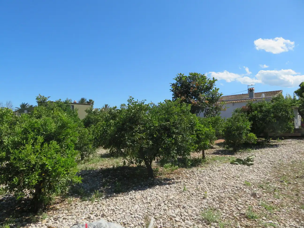 Detached house with garden for sale in El Verger, imagen 40