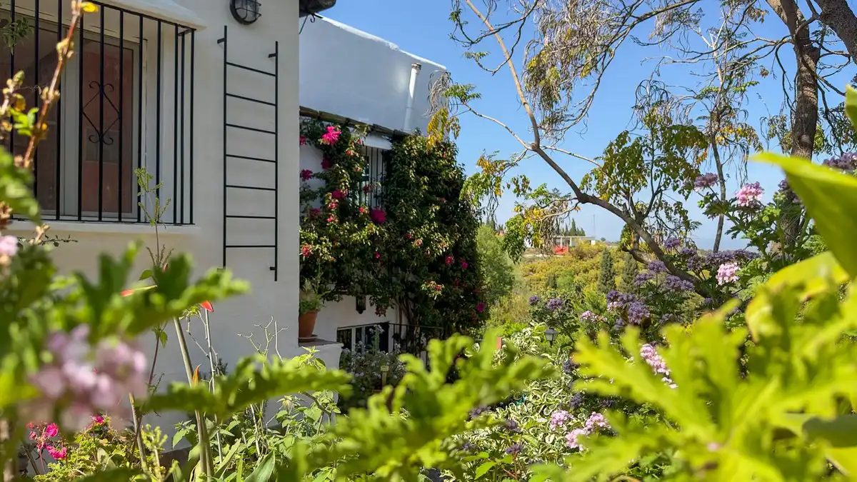 Casa rústica amb piscina en venda a Centro, imagen 25