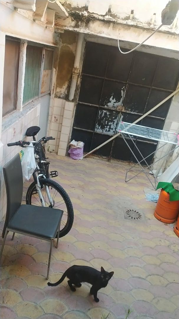 Parking of House or chalet for sale in Burjassot