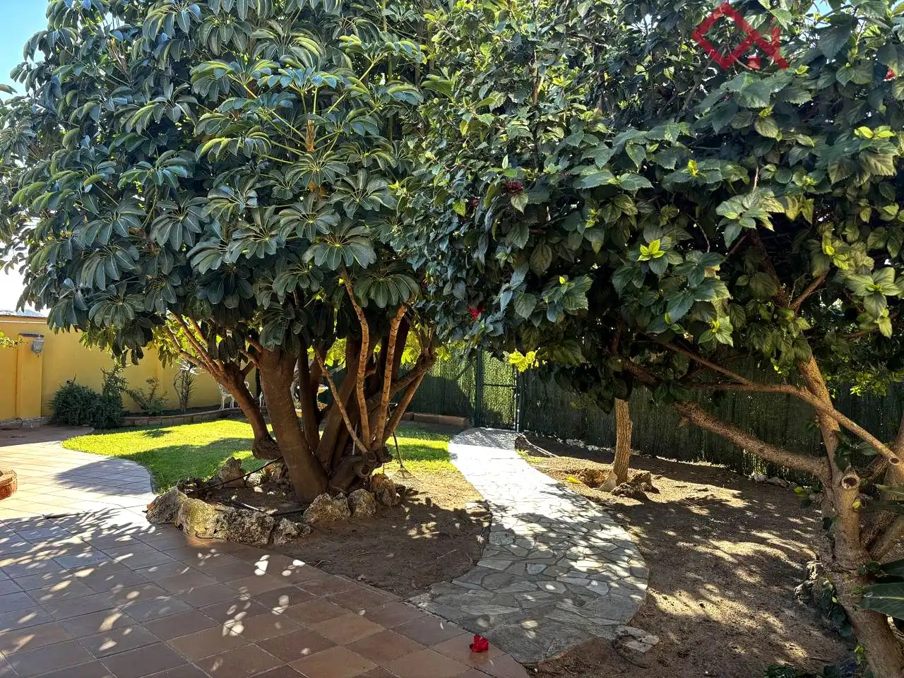 Casa o chalet de alquiler en Bolina, Puertosol