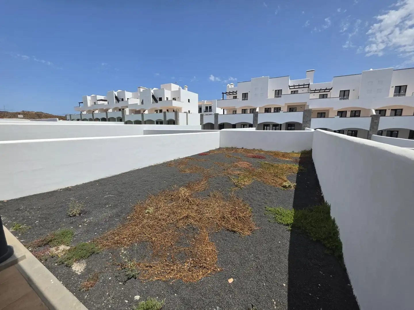 Exterior view of Ground floor for sale in La Oliva  with Private garden, Terrace and Community pool