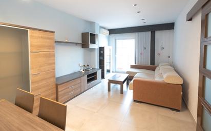 Living room of Flat for sale in Esparreguera  with Air Conditioner, Heating and Parquet flooring