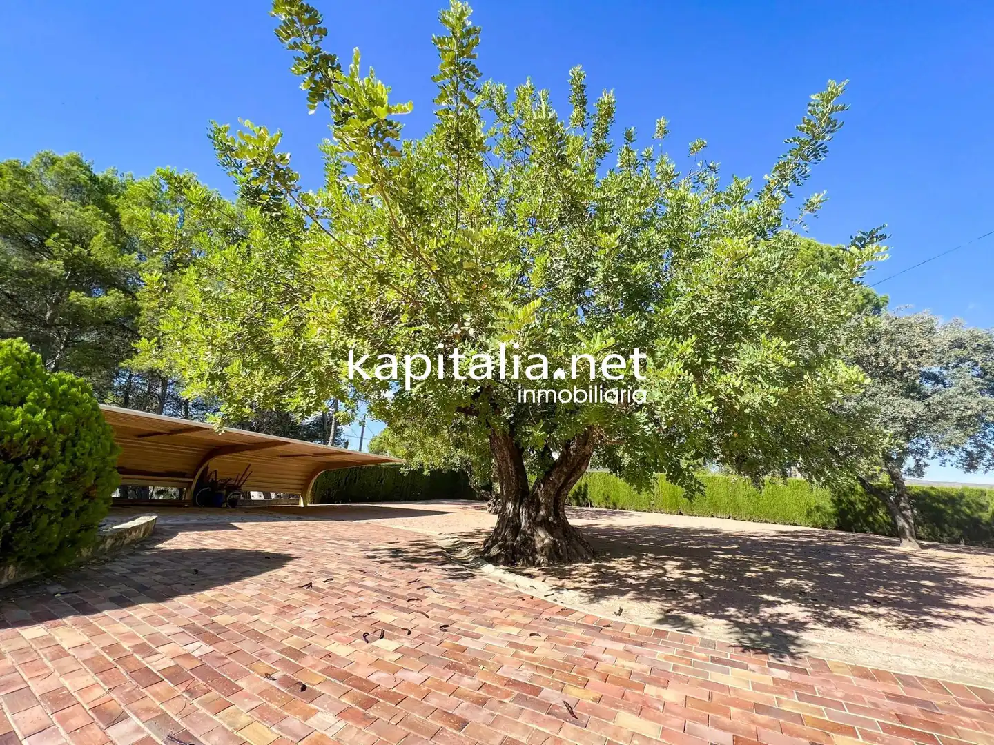 Detached house with pool for sale in Sant Josep - Zona Hospital, imagen 29