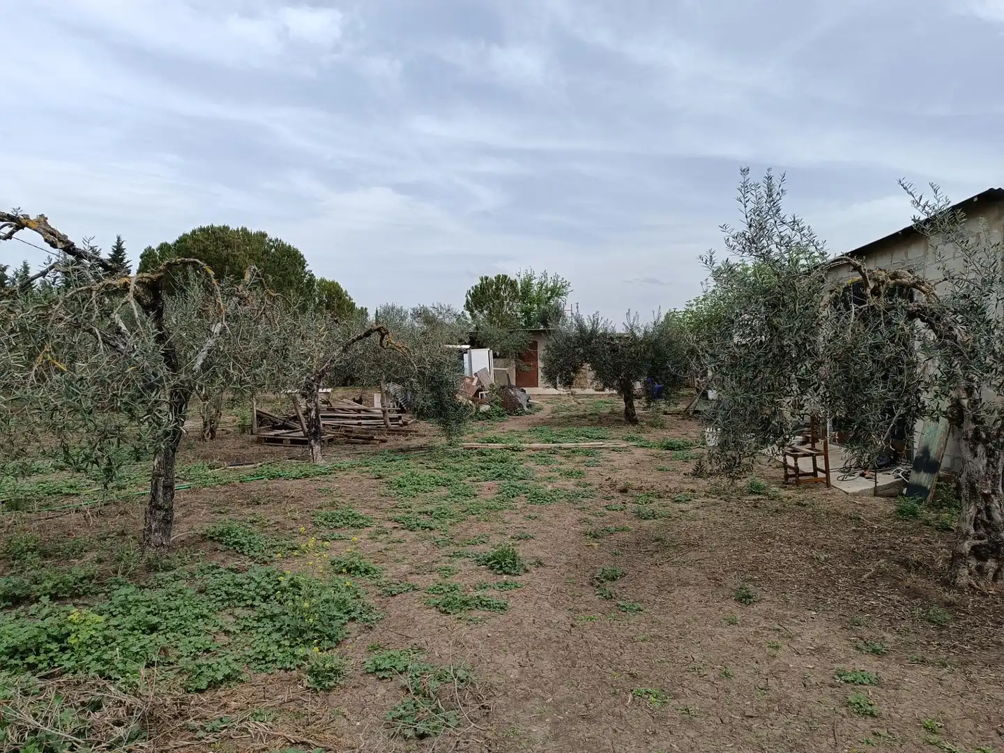 Terreny residencial en venda a Villamartín, imagen 5