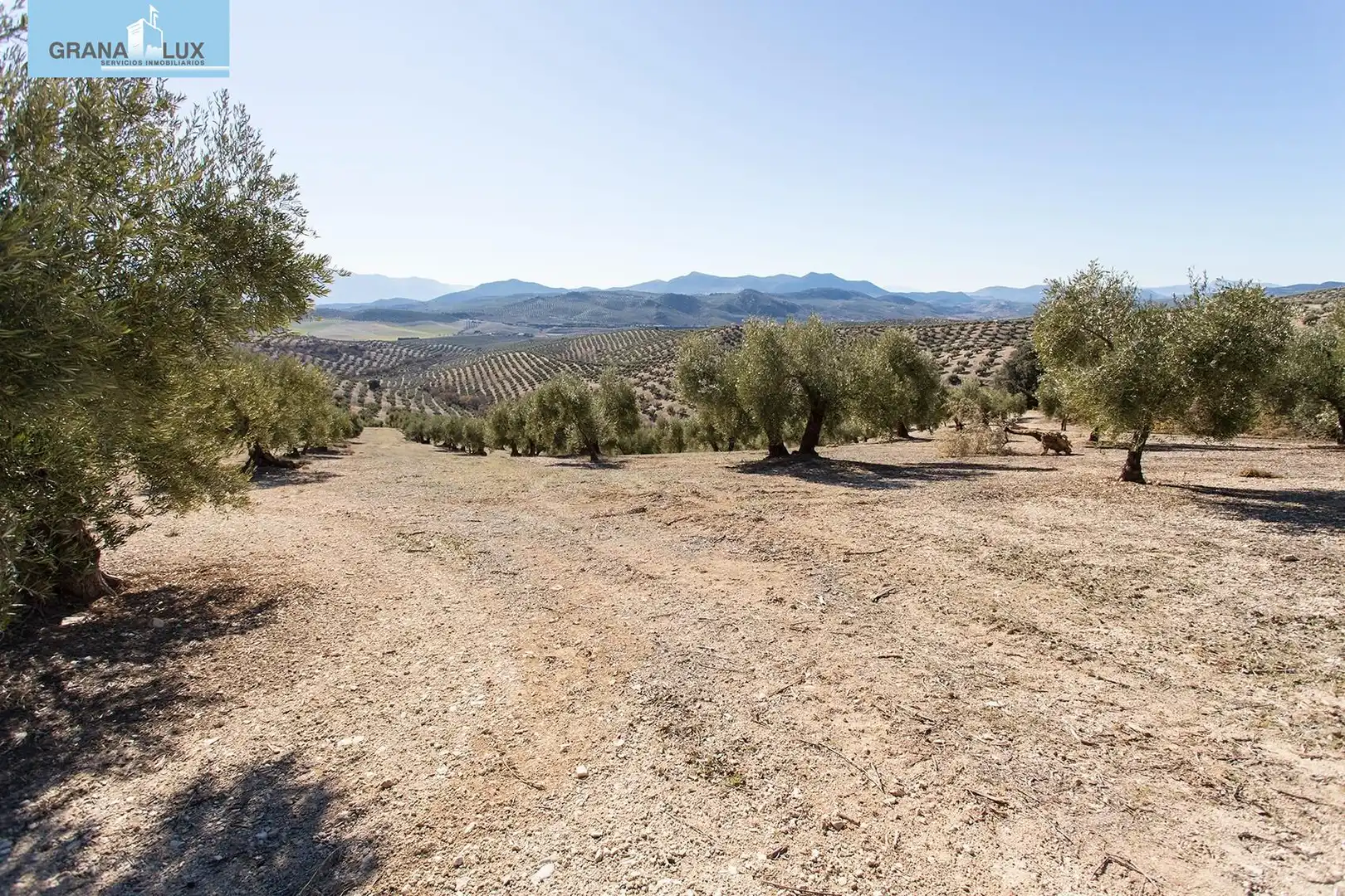 Land for sale in Campotéjar