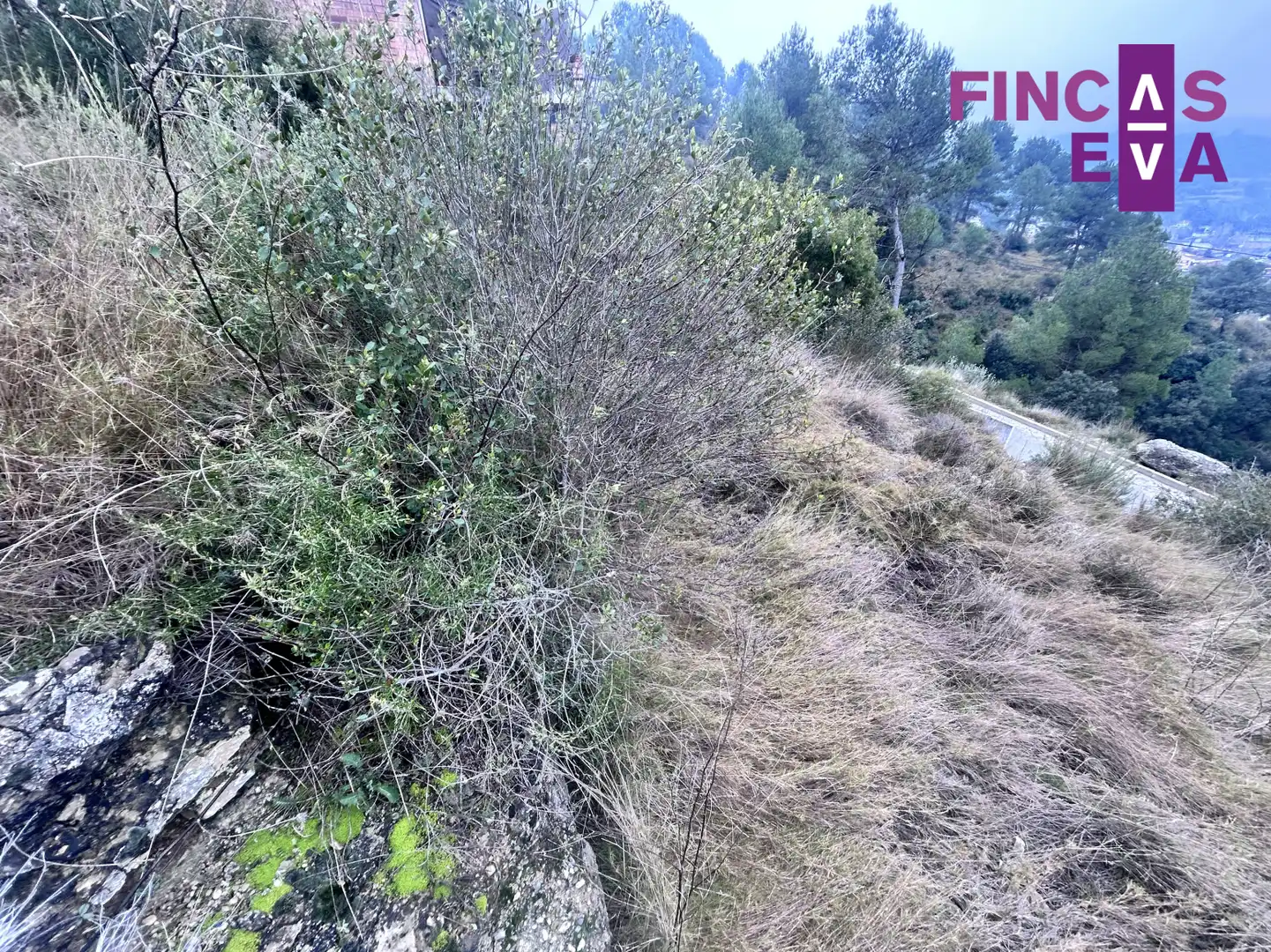Terreny rústic en venda a Pont de Vilomara i Rocafort El - UR MARQUET CARRER 14 663, imagen 2