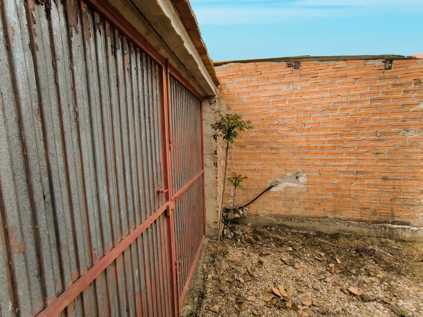 Vista exterior de Casa o xalet en venda en Pedraza de Campos amb Calefacció, Jardí privat i Traster