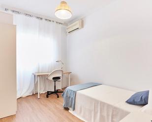 Apartament per a compartir a La Oliva