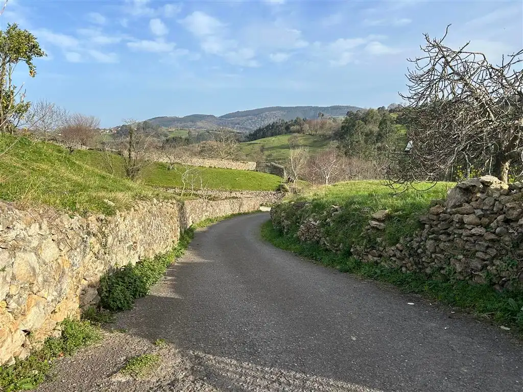 Vista exterior de Finca rústica en venta en Val de San Vicente 