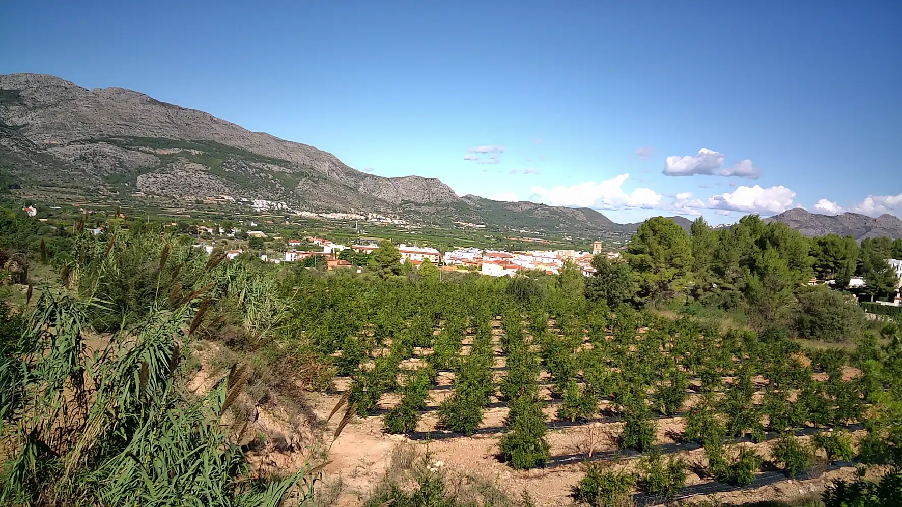 Terreno residenziale in vendita a Calles