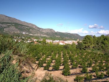 Terreno residenziale in vendita a Calles