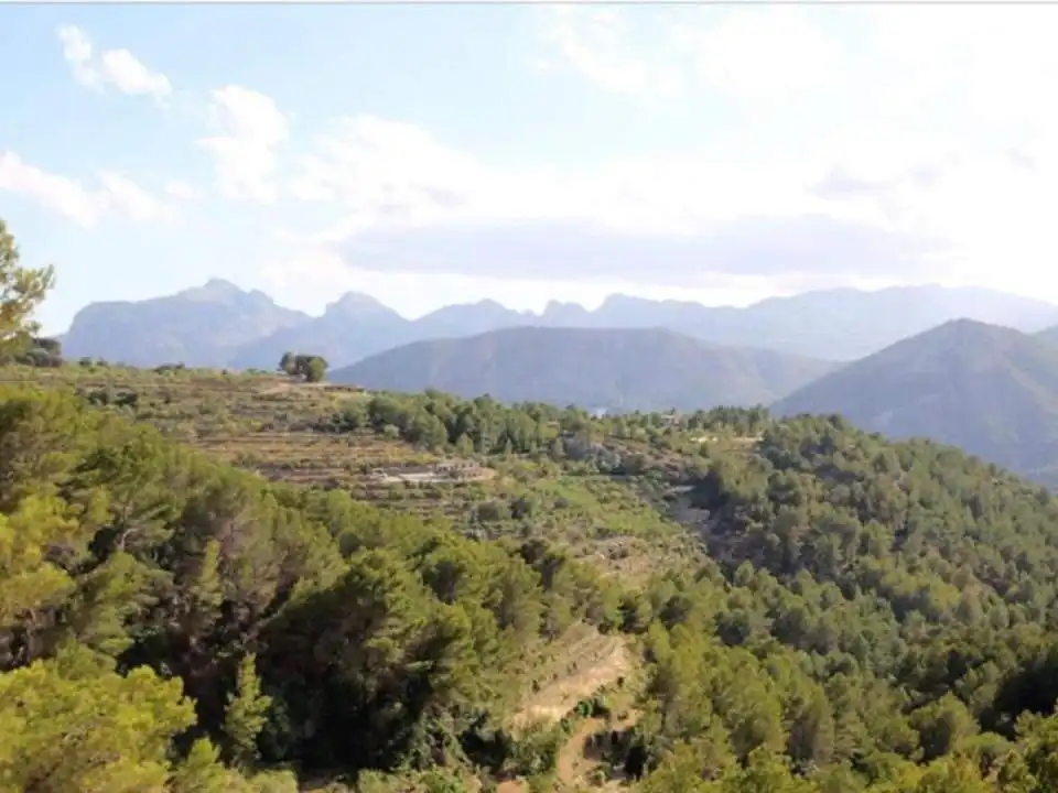 Country homes for sale in Tàrbena