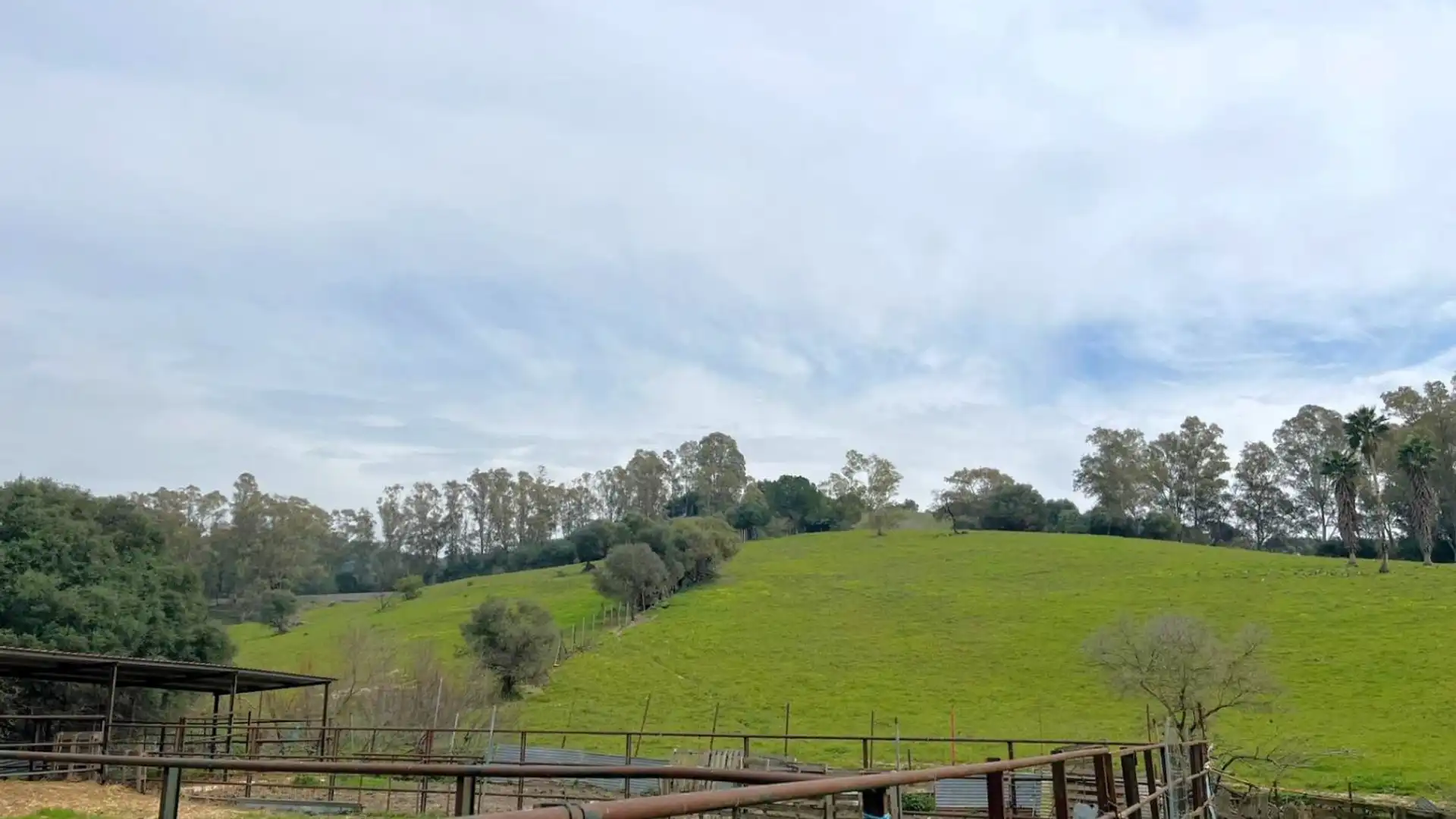 Vista exterior de Finca rústica en venda en Jimena de la Frontera