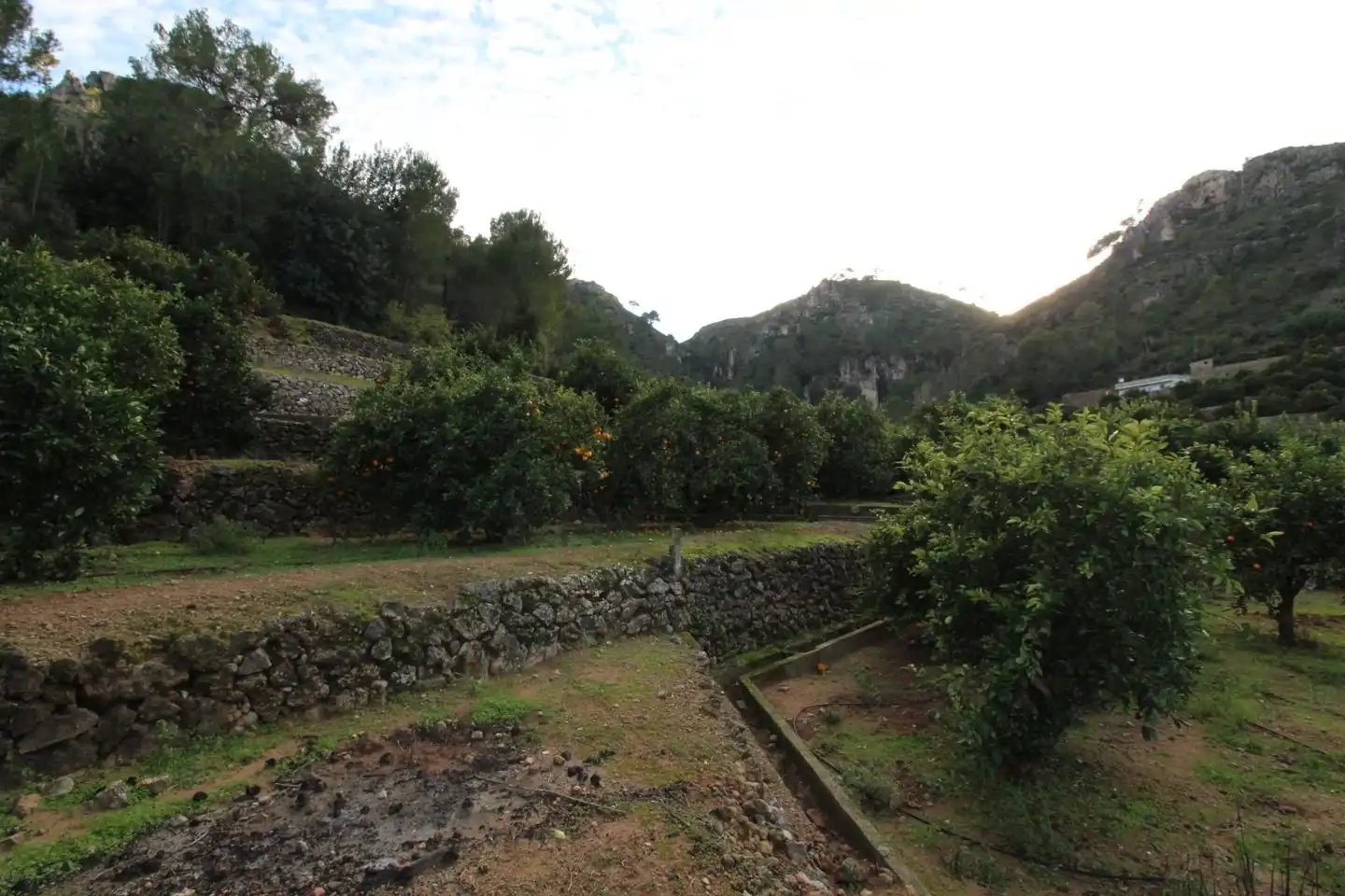 Terrenos y solares en venta en barranc del salt, imagen 16