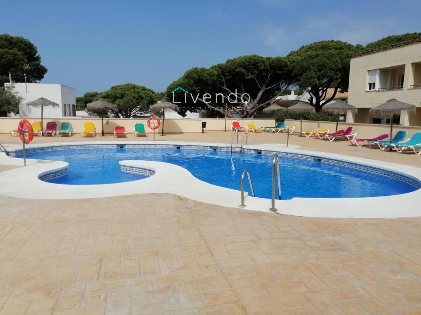 Swimming pool of Duplex for sale in Barbate  with Terrace, Swimming Pool and Furnished