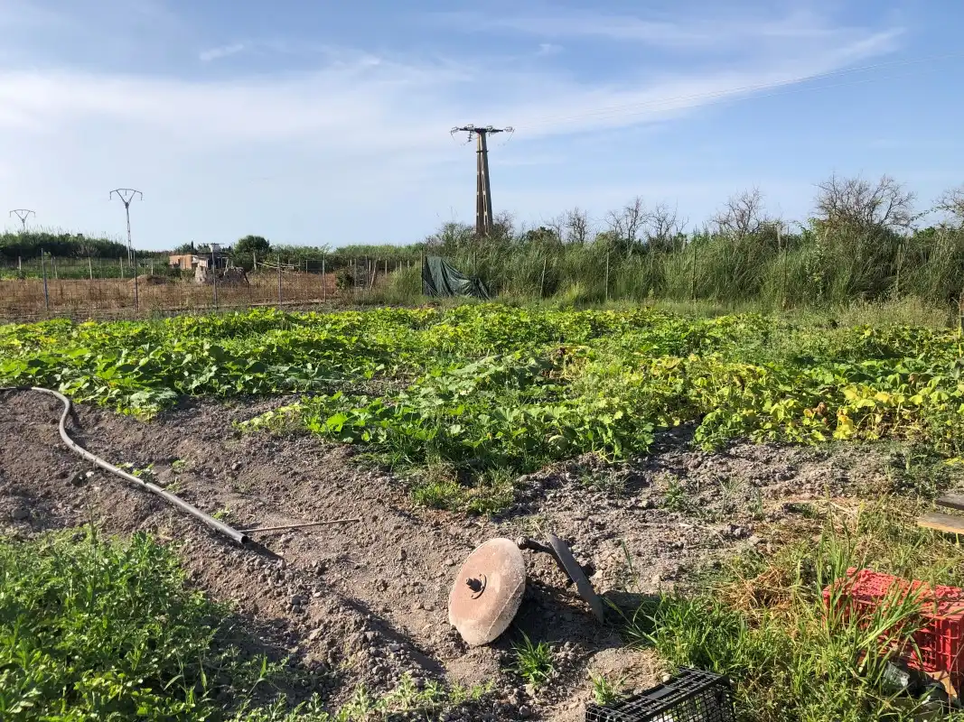 Terreno en venta en Gandia