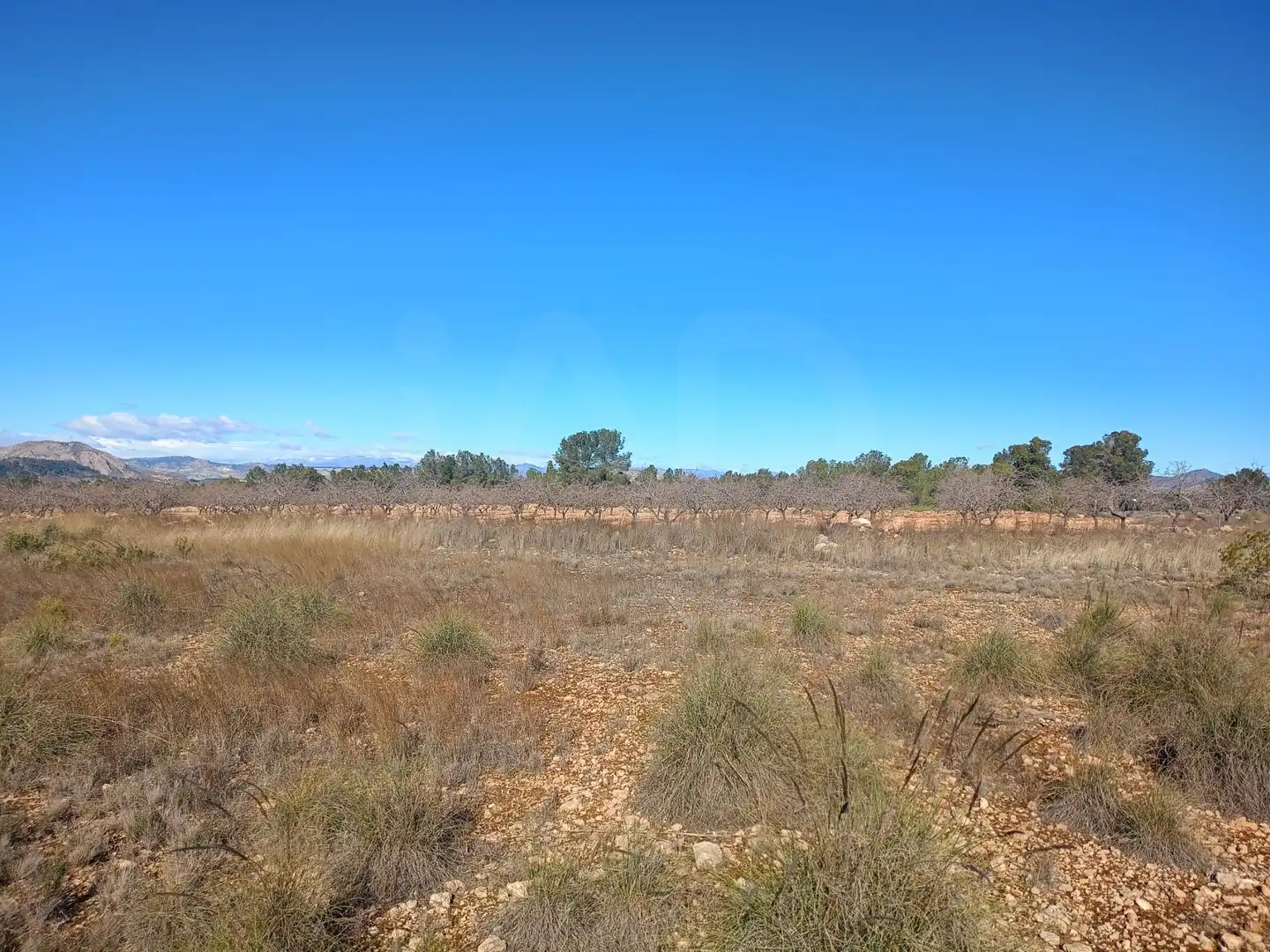 Grundstücke zum Verkauf in Lorca