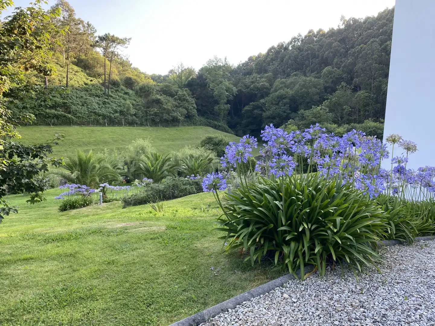 Edificio en venta en Luarca - Camino de Portizuelo, Valdés - Luarca