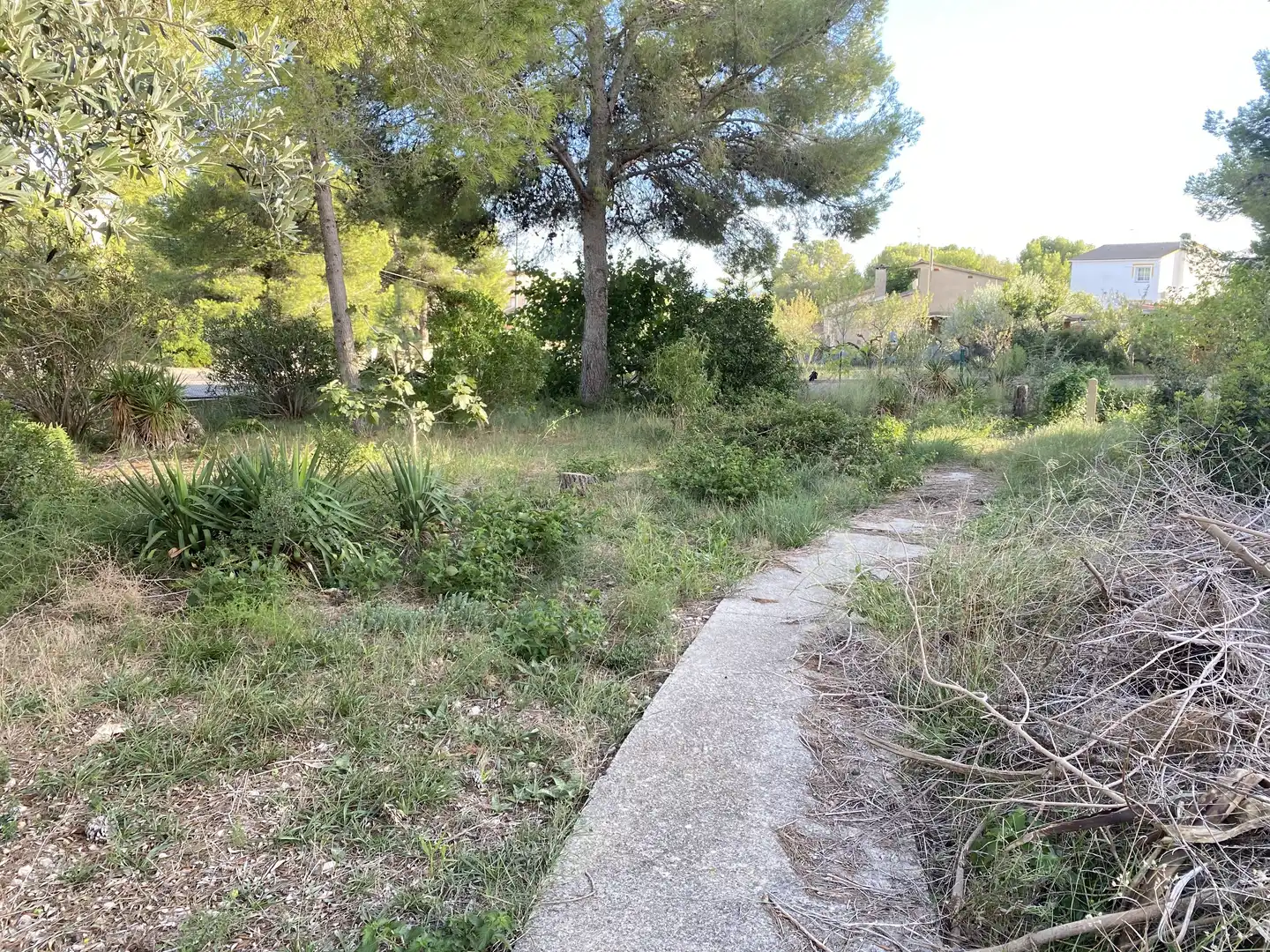 Wohnbaugrundstück zum Verkauf in Mas Borràs - Coto del Rey, imagen 6