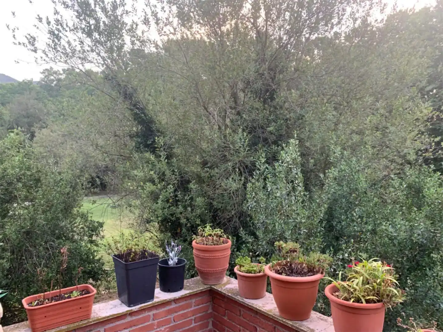 Terraza de Casa o chalet en venta en Gualba, Barcelona
