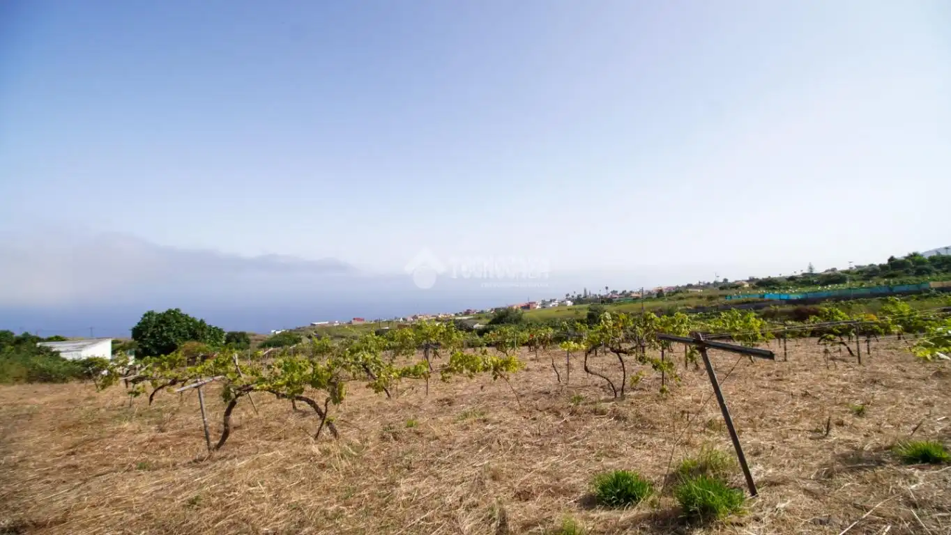 Finca rústica en venta en El Sauzal