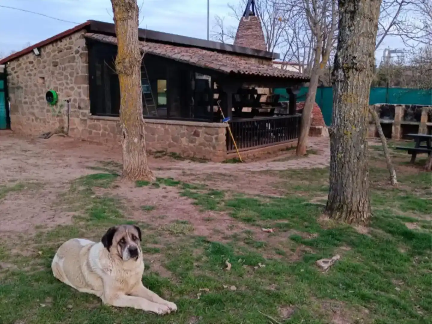 Jardín de Terreno en venta en Salas de los Infantes