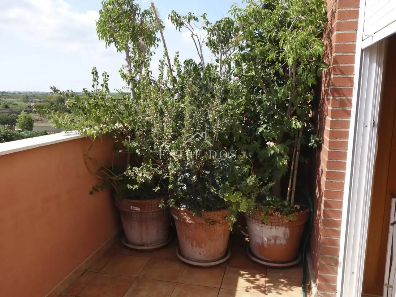 Maison mitoyenne à vendre à Calle San Jaime, imagen 49