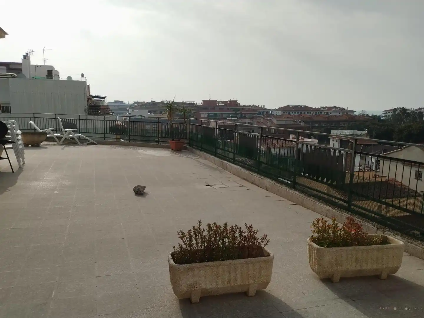 Àtic en venda a Barcelona, Centre