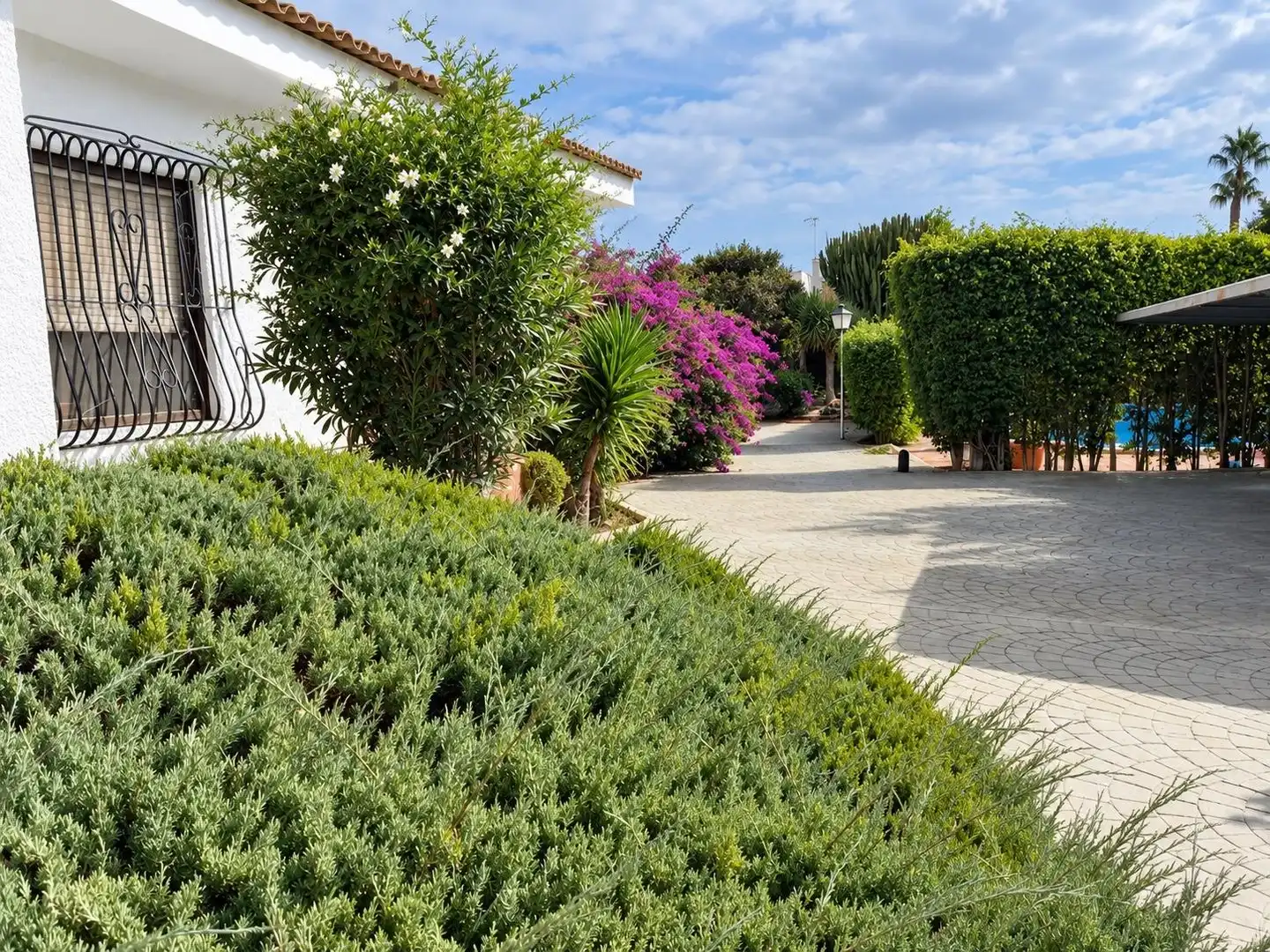 Detached house with pool for sale in La Algoda - Matola - Llano de San José, imagen 3
