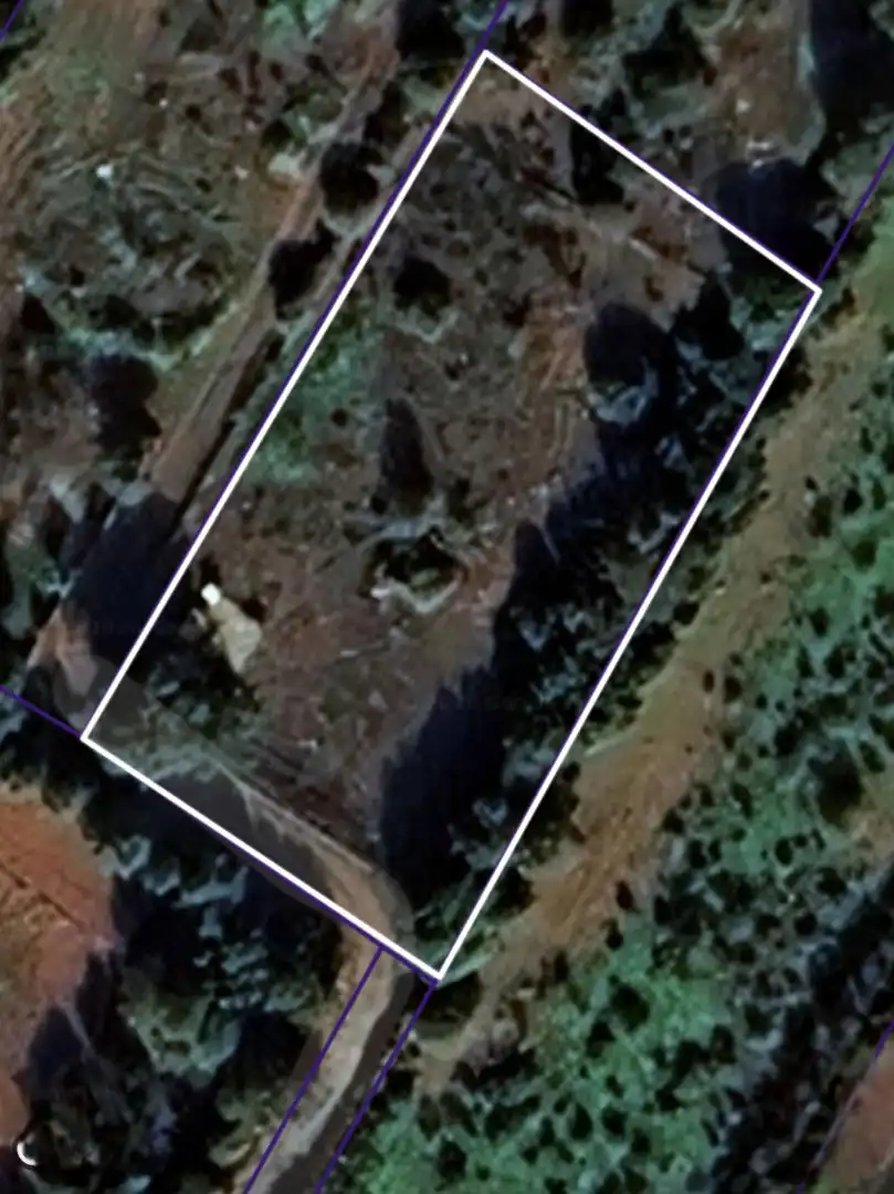 Rural land for sale in Felanitx Poble, imagen 5
