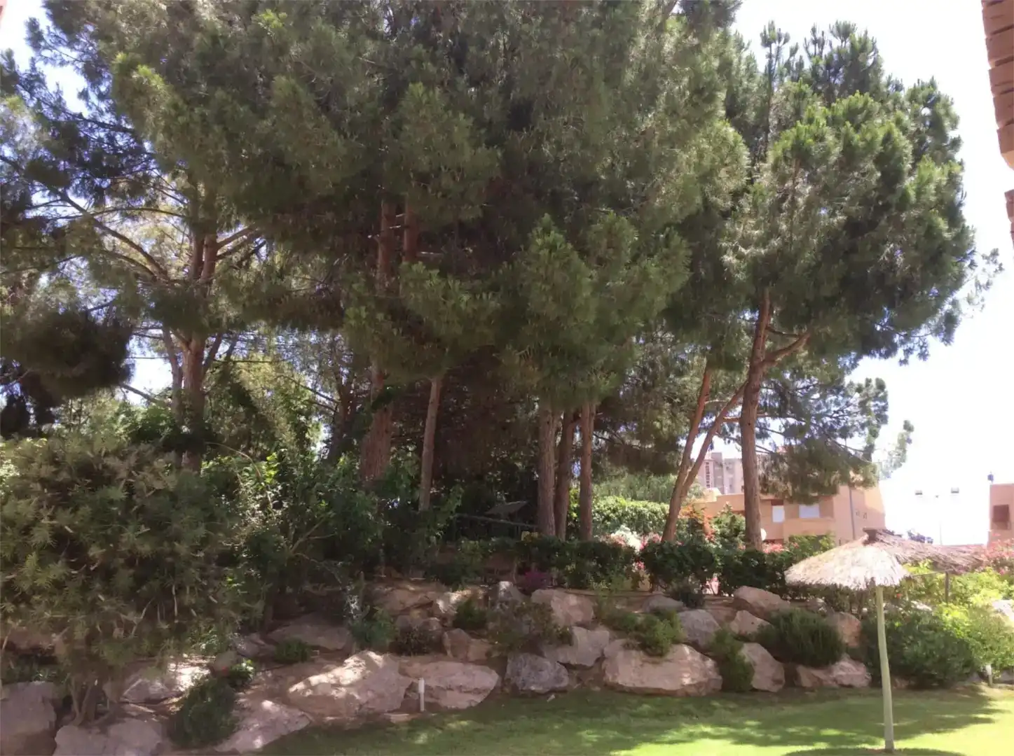 Jardí de Apartament de lloguer en Playa de San Juan - El Cabo de las Huertas