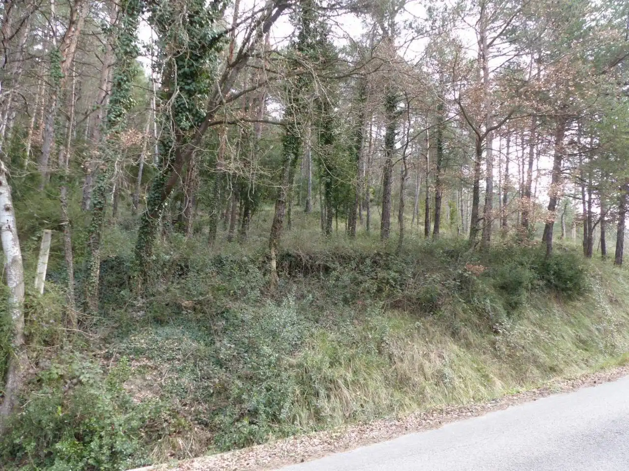 Terreno en venta en Tavèrnoles