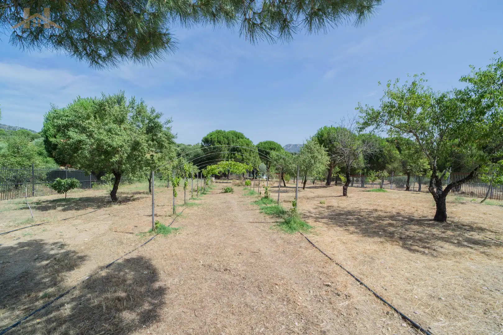Jardín de Terreno en venta en San Martín de Valdeiglesias