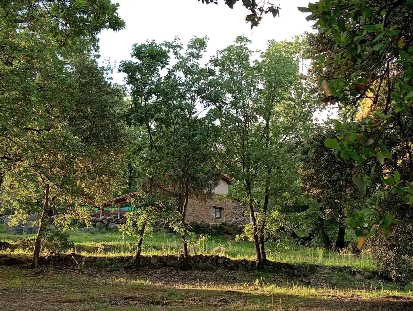 Terreno en venta en Villanueva de la Vera