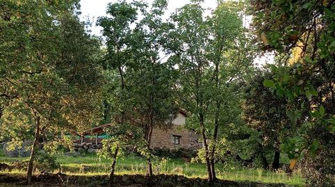 Photo 4 of Land for sale in Ex-203, Villanueva de la Vera, Cáceres