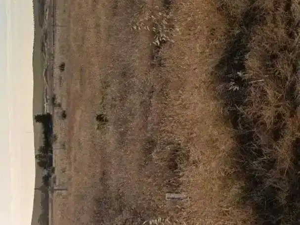 Finca rústica en venta en Solana de los Barros, Badajoz