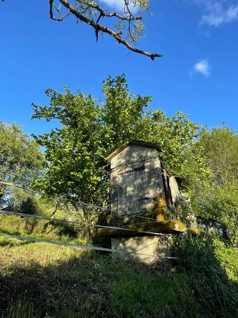 Vista exterior de Finca rústica en venta en O Irixo con Calefacción, Jardín privado y Parquet