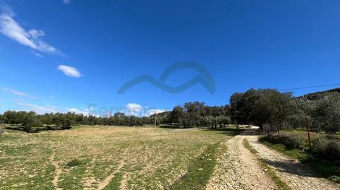 Foto 5 de Finca rústica en venda a N/a, Partidas Sur, Málaga