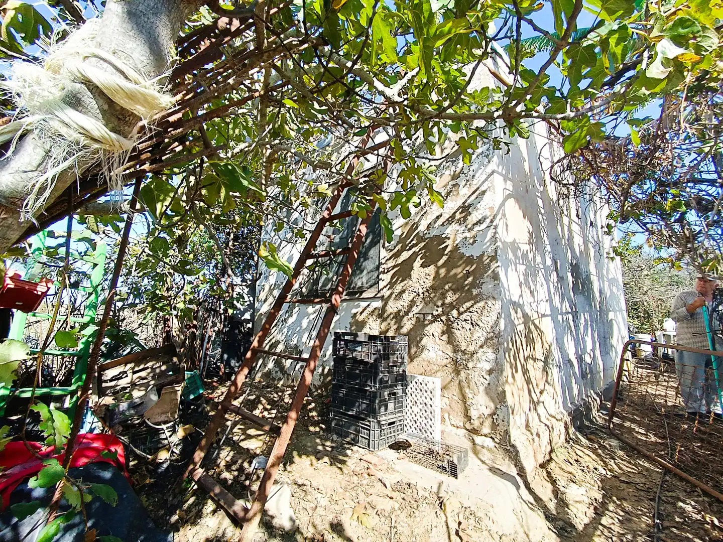 Terreni e lotti in vendita a El Juncal - Vallealto, imagen 7
