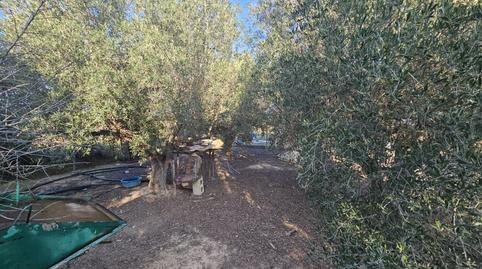 Photo 5 of House or chalet for sale in Avenida del Puntarrón, 188, Sangonera la Seca, Murcia