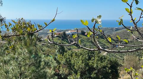 Foto 4 de Casa o xalet en venda a  Diseminado Almayate Alto, Polígono 36, Parcela 4-, Almayate, Málaga