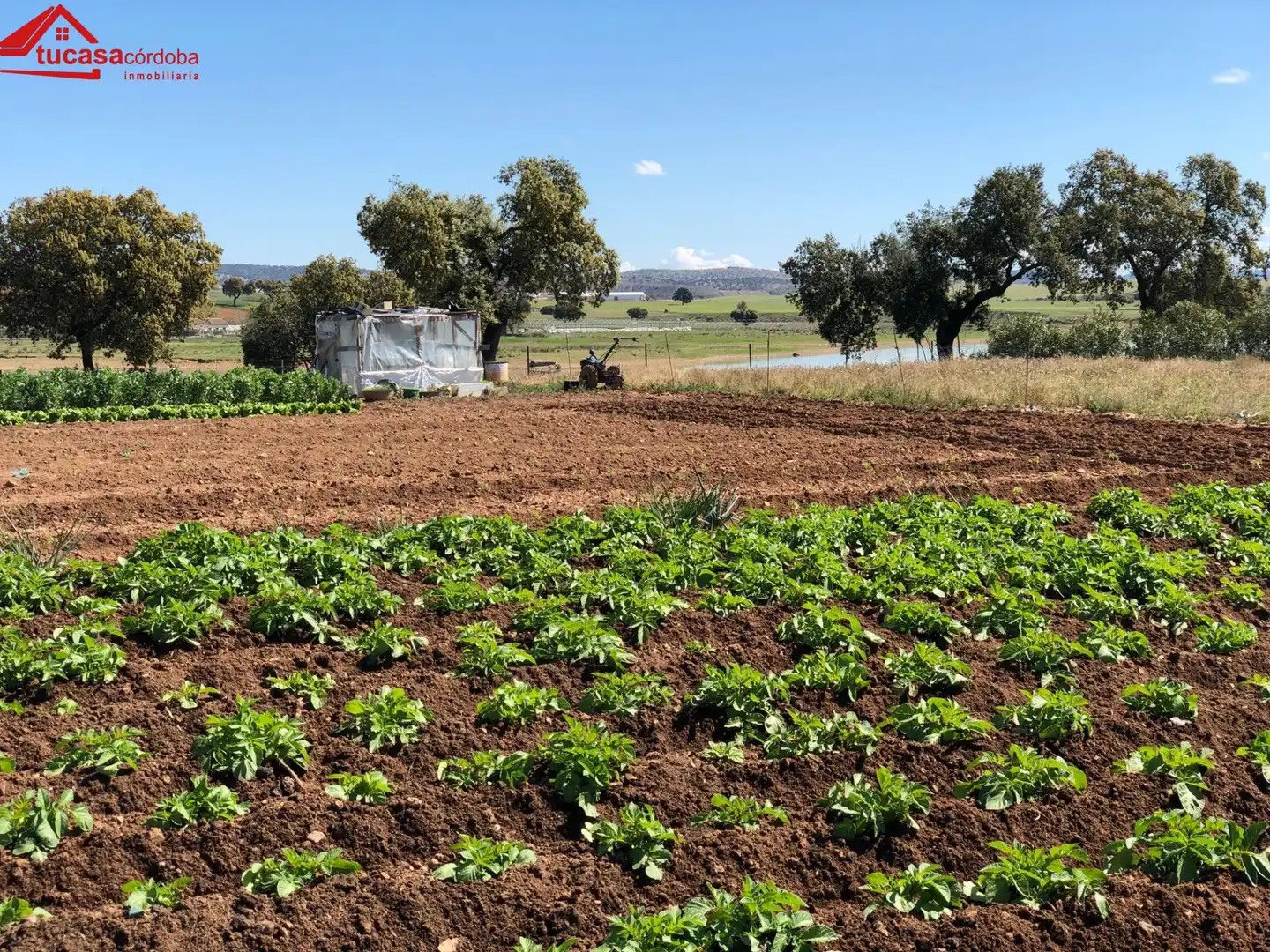 Casa rústica en venda a Peñarroya-Pueblonuevo, imagen 4
