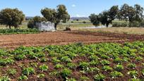 Garten von Country house zum verkauf in Peñarroya-Pueblonuevo mit Abstellraum