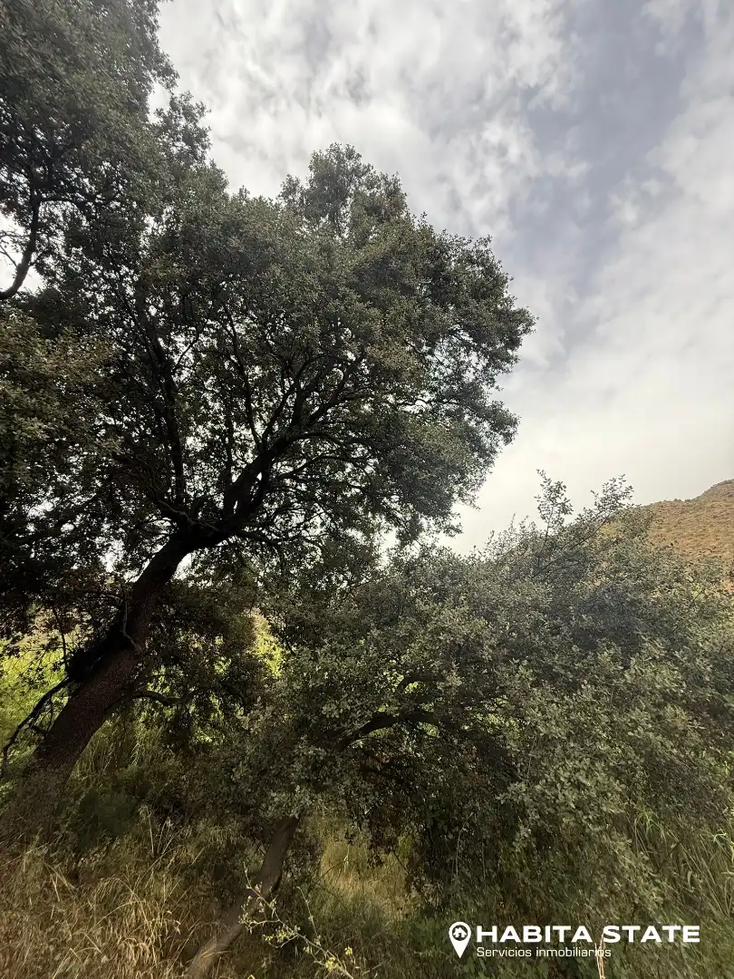 Exterior view of Land for sale in Chercos